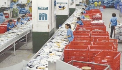 跨境电商生态圈日益成熟 东莞制造货品加速流向全球